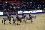 Quadrille - 00904